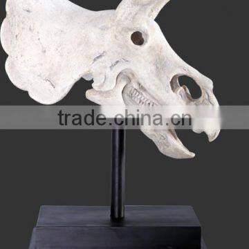 Triceratops Skull on Base