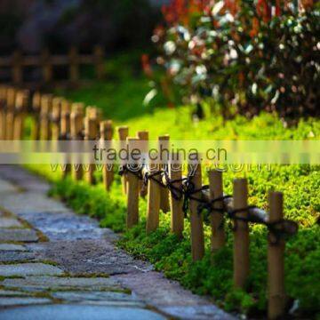 small gardening bamboo trellis for seperation