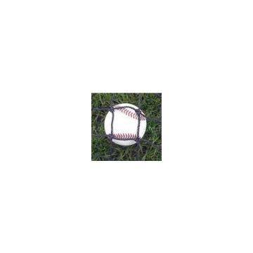 Baseball Net