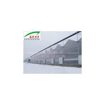 Large Multi-Span PC Venlo Greenhouse photo-3