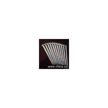 Galvanized Iron nail.Iron Nail,Nail