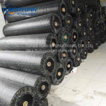 Thailand / India Coconut Weed Mat Ground Cover for Blueberry photo-4