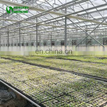 Commercial Fold Up Work Metal Benches In Mango Greenhouse photo-5