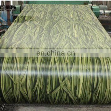 PPGI Prepainted Steel Coils for Building Material photo-7