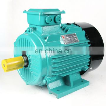 Totally Enclosed 10 hp AC 3 phase Induction Motor Electric