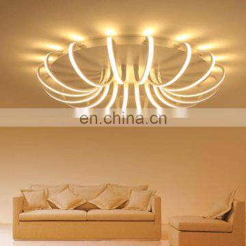 Simple Living Room Led Art Ceiling Lamp Study Lamp Nordic Creative Lighting photo-4