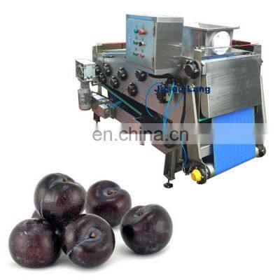 GYJL-2020 Complete Black prune juice concentrate making machine