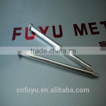 polished iron material common round nail factory