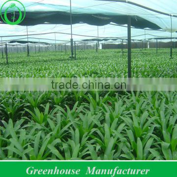 Film Fixer for Greenhouse