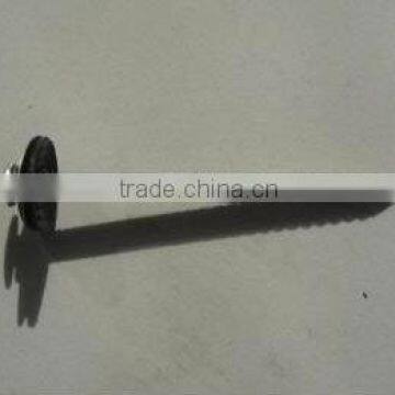 roofing nail/ metal nails (factory)
