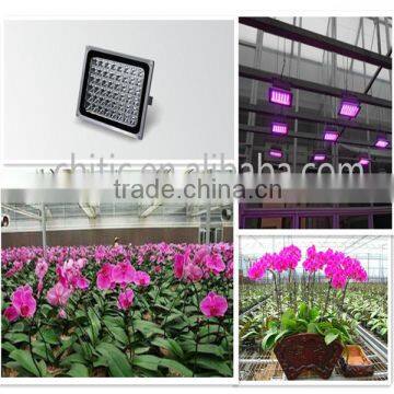 Greenhouse LED Plant Light for Growing Tomato, Lettuce, Vegetable, Flower, Orchid, Tulip, Medicinal Plants photo-4