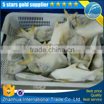 premium quality new products frozen gloden pomfret fish aquarium