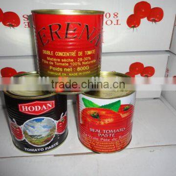 800gram Canned Tomato Paste