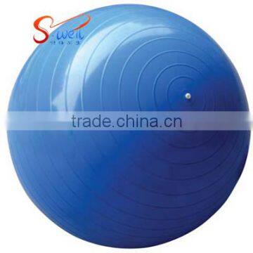 Soft Yoga Therapy Ball