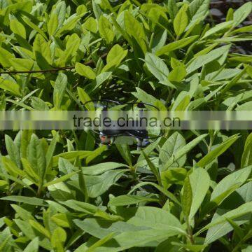 China Suppliers Bricstar Wireless Fpv Dron Small Flying Camera Toys photo-6