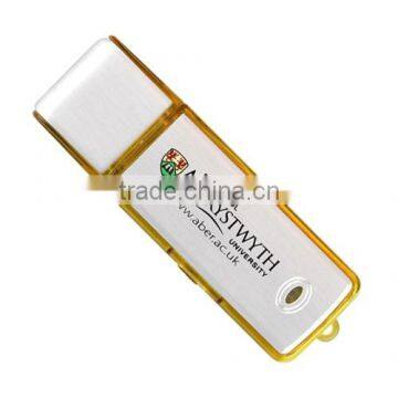 Full Capacity FreeSample USB Flash Disk Logo Printing