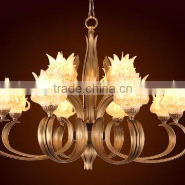 Special Metal Iron Chandelier Pendant lighting