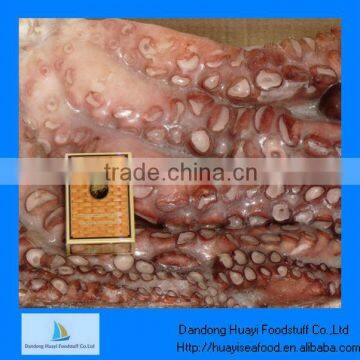 High quality octopus cooking seafood