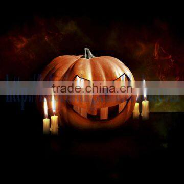 New Products 2014 Hot Halloween Pumpkin Light Painting