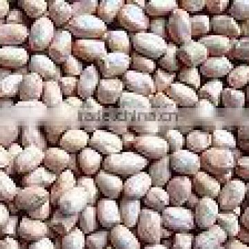 80/100 Peanut kernels(round type)