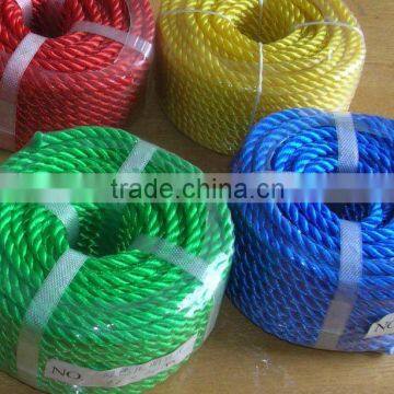 Twisted Colorfull PE Ropes                        
                                                                                Supplier's Choice