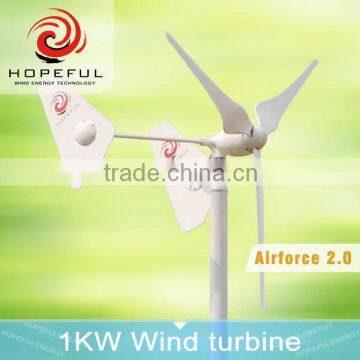 1kw Greenhouse Sailboat Wind Generator Street Light System for Home Use photo-5