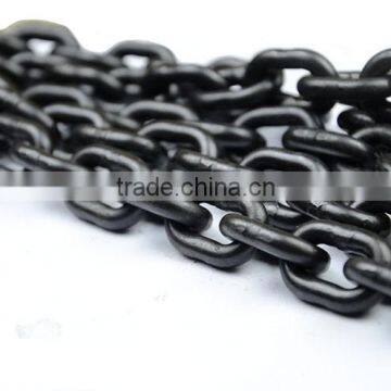 China Online Shopping Building Hoist Chain Hoist Pulley photo-6