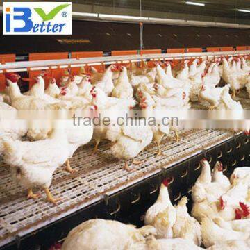 BT factory poultry farms for broiler chicken