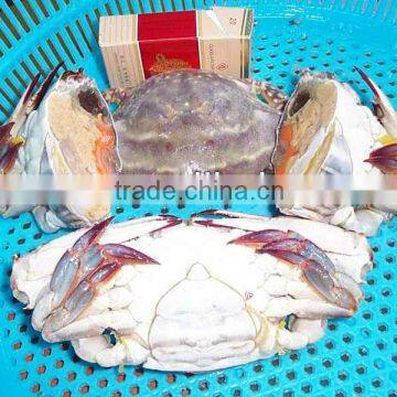 Frozen Crab photo-3