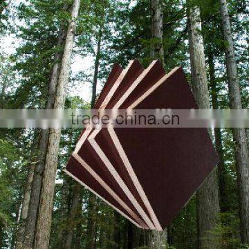 Linyi Plywood Factory Film Faced Shuttering Plywood for Formwork photo-4