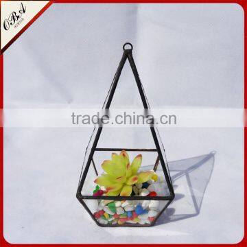 Modern Glass Four Surface Diamonds Tabletop Succulent Plant Terrarium Box / Air Plant Geometry Container