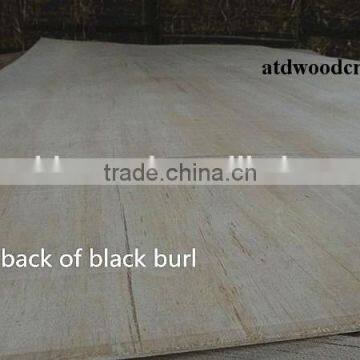 EV Black Burl MDF Board From Linyi China