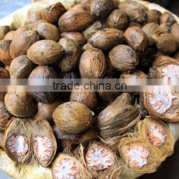 BETEL NUT GRADE A SALE IN BULK FOR BANGLADESH