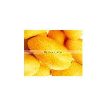 Mango photo-5