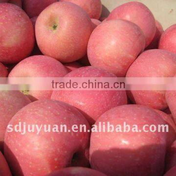 Fuji Red Apples