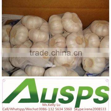 2015 Crop China Garlic Price