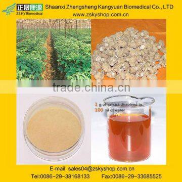 Best selling Panax Ginseng Extract