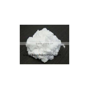 Best Quality Shankar-6 Raw Cotton