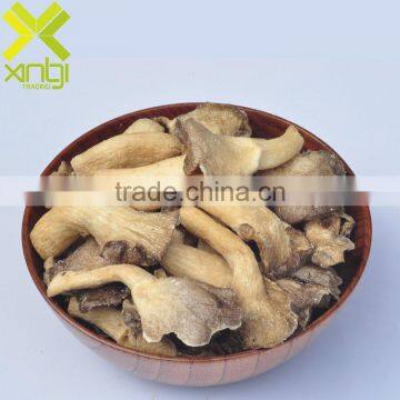 Tasty Crisp Low Temperature Fried Oyster Mushroom Snacks