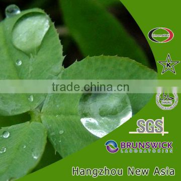 Green Tea Extract / Camellia sinensis Extract / Green Tea Polyphenols 50%-98%