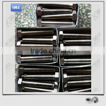 Stainless steel 309S/en1.4835 nuts bolts ss 310S screw bolt online shopping