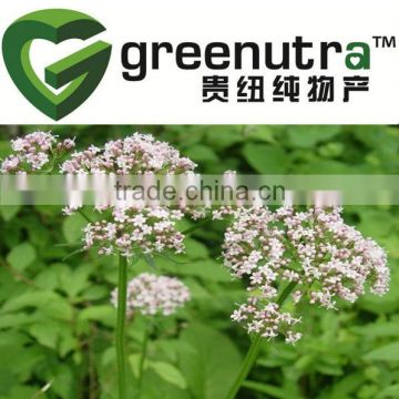 Pure valerian root extract