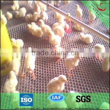 High quality plastic poultry netting