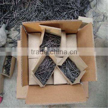 1/2"-13" High Quality Common Nails/ Stainless Steel Nail photo-4