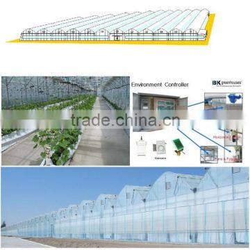 Hydroponic Greenhouse photo-3
