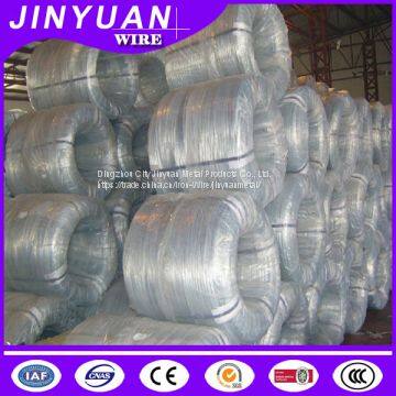 Electro Galvanized Iron Wire photo-2