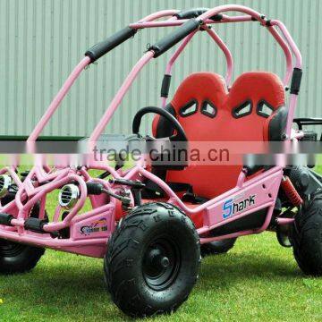 163cc(200cc) 5.5HP Engine / Single Seat Kids go Kart 200cc / Big Engine Mini go Kart (TKG200-KD) photo-2