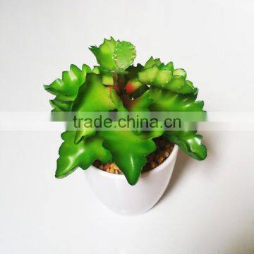 Small Artificial Succulent Plants for Indoor Shopping Mall Decoration photo-4