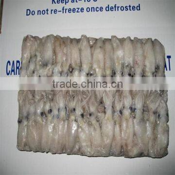 Frozen Baby Loligo Squid photo-5