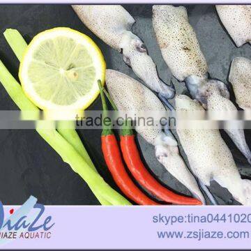 Zhoushan Wild Caught Fresh Baby Squid BQF OR IQF photo-4
